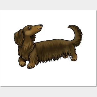 Dog - Long Haired Dachshund - Brown and Tan Posters and Art